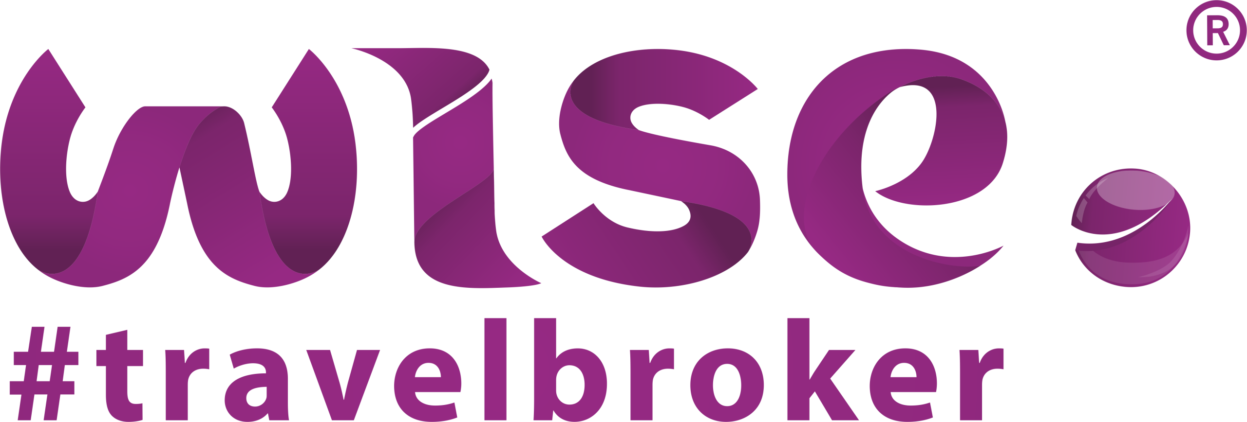 Wise Travel Broker
